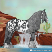 Horse Color:Brown Chinchilla Near Leopard 