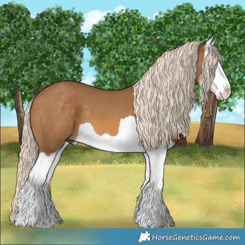 Horse Color:Chocolate Palomino Splash 