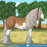 Horse Color:Chocolate Palomino Splash