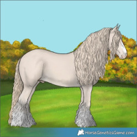 Horse Color:Smoky Creme 