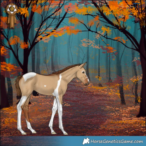 Horse Color:Gray Red Dun Tobiano 