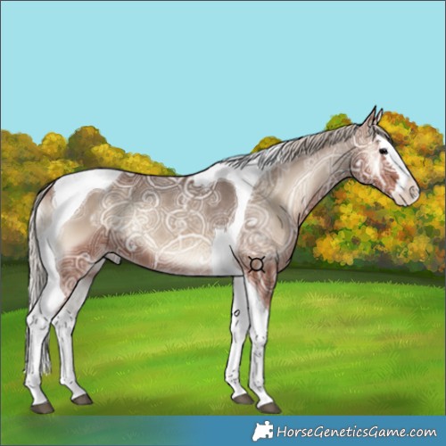 Horse Color:Silver Blue Onyx Ice Splash Tobiano