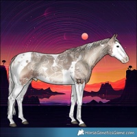 Horse Color:Silver Blue Onyx Ice Splash Tobiano 