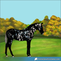 Horse Color:ERROR: UNKNOWN ANOMALY