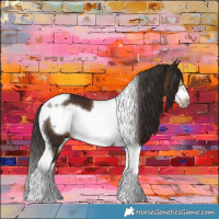 Horse Color:Liver Chestnut Tobiano Frame