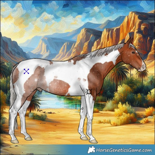 Horse Color:Silver Brown Tobiano Rabicano