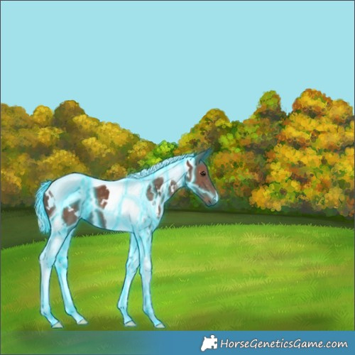 Horse Color:Thunderstruck White Spotted Silver Black Tobiano 