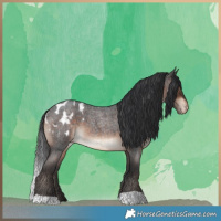 Horse Color:Brown Roan Blanket 