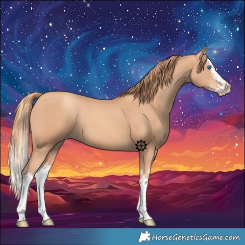 Horse Color:Gold Champagne Splash 