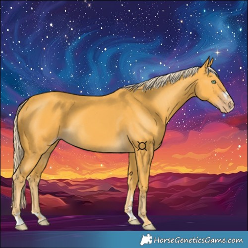 Horse Color:Gold Cream Champagne 