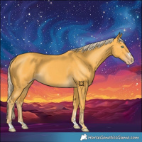 Horse Color:Gold Cream Champagne