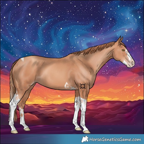 Horse Color:Gold Champagne Splash Tobiano 