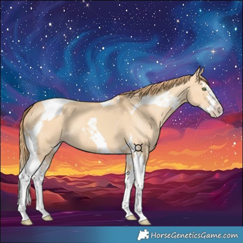 Horse Color:Gold Champagne Dun Splash Tobiano 