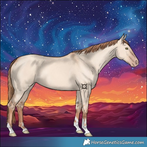 Horse Color:Gold Champagne Dun Tobiano 