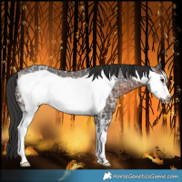 Horse Color:Brown Ice Sabino Frame