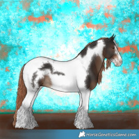 Horse Color:Liver Chestnut Tobiano Frame 
