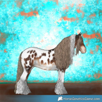 Horse Color:Liver Chestnut Tobiano Appaloosa 