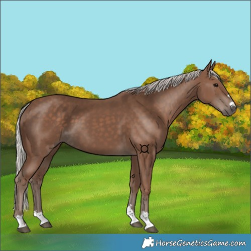 Horse Color:Silver Black 