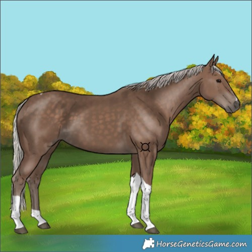 Horse Color:Silver Black Tobiano 