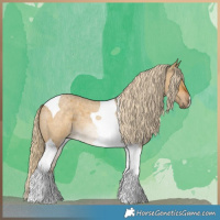 Horse Color:Chocolate Palomino Roan Dun Tobiano 