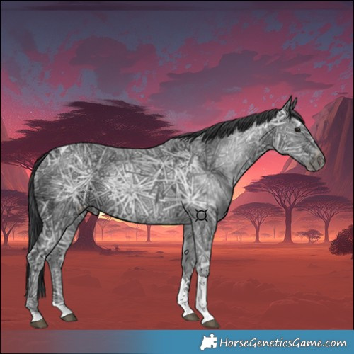 Horse Color:Black Ice Tobiano