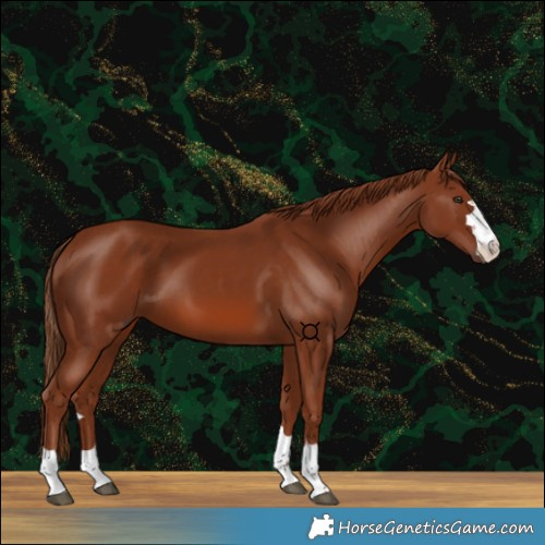 Horse Color:Chestnut 