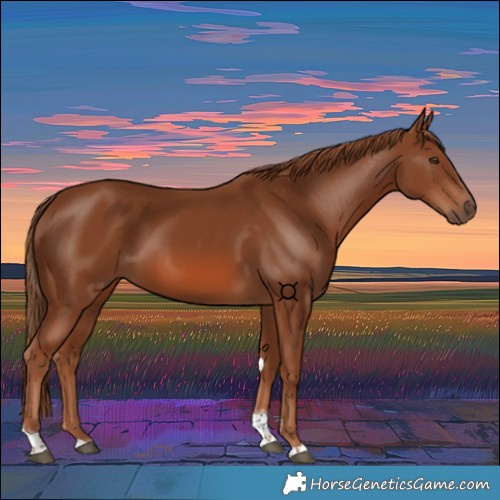 Horse Color:Chestnut Tobiano 