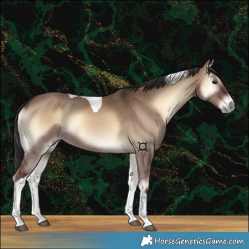 Horse Color:Liver Red Dun Onyx Tobiano 