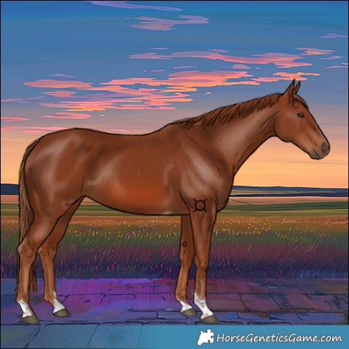 Horse Color:Chestnut Tobiano 