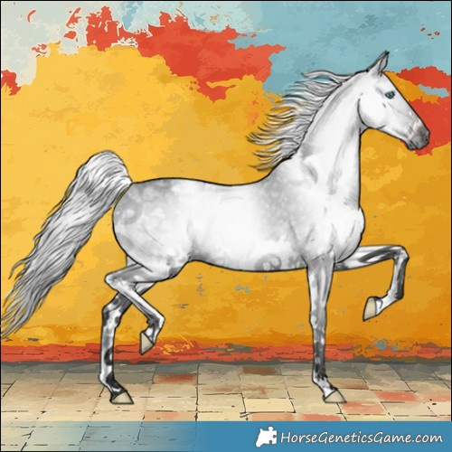 Horse Color:Gray Black Splash Varnish Rabicano 