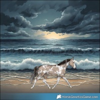 Horse Color:White Spotted Liver Red Dun Splash