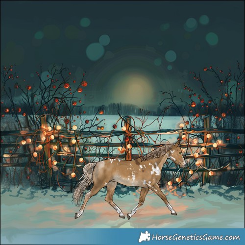 Horse Color:White Spotted Chocolate Palomino Dun Sabino Rabicano 