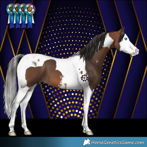 Horse Color:Bay Sabino Splash Tobiano
