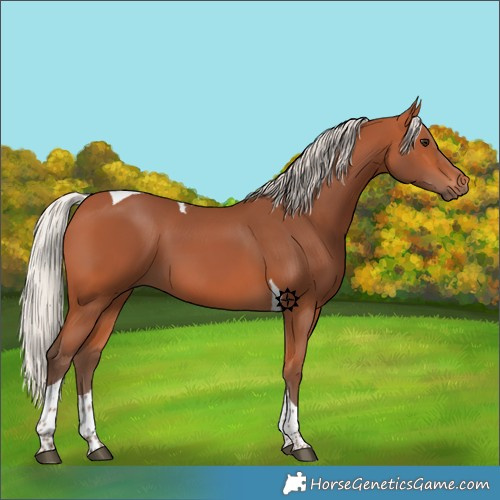 Horse Color:Silver Bay Tobiano 