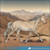 Horse Color:Chocolate Palomino Dun Tobiano 