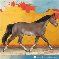 Horse Color:White Spotted Liver Red Dun 