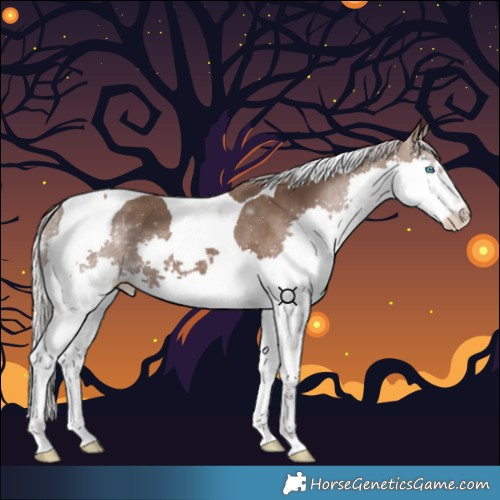 Horse Color:Silver Black Splash Tobiano 