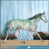 Horse Color:Watercolor Plaid  White Spotted Liver Red Dun Onyx Rabicano Brindle 