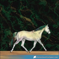 Horse Color:Platinum Plaid  White Spotted Liver Red Dun Onyx Brindle 