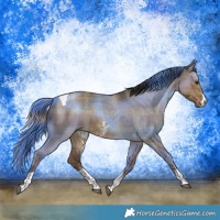 Horse Color:Plaid  Liver Red Dun Sabino Tobiano Rabicano 