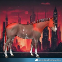 Horse Color:Painted Liver Red Dun Sabino Rabicano 