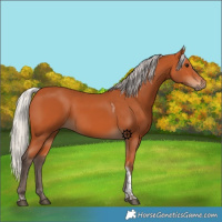 Horse Color:Silver Bay Tobiano