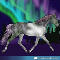 Horse Color:Painted Watercolor Liver Red Dun Ice Onyx Tobiano Brindle 