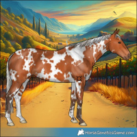 Horse Color:White Spotted Silver Bay 