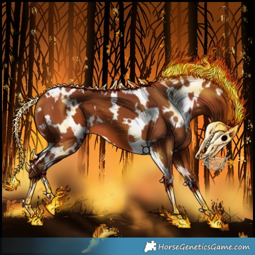 Horse Color:White Spotted Silver Bay