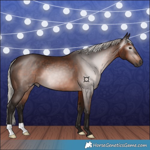 Horse Color:Gray Silver Bay 