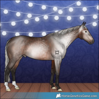 Horse Color:Gray Silver Bay