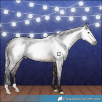 Horse Color:Gray Silver Bay 