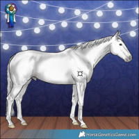 Horse Color:Gray Silver Bay 