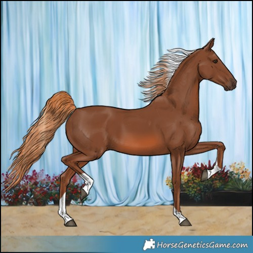 Horse Color:Chestnut Tobiano 